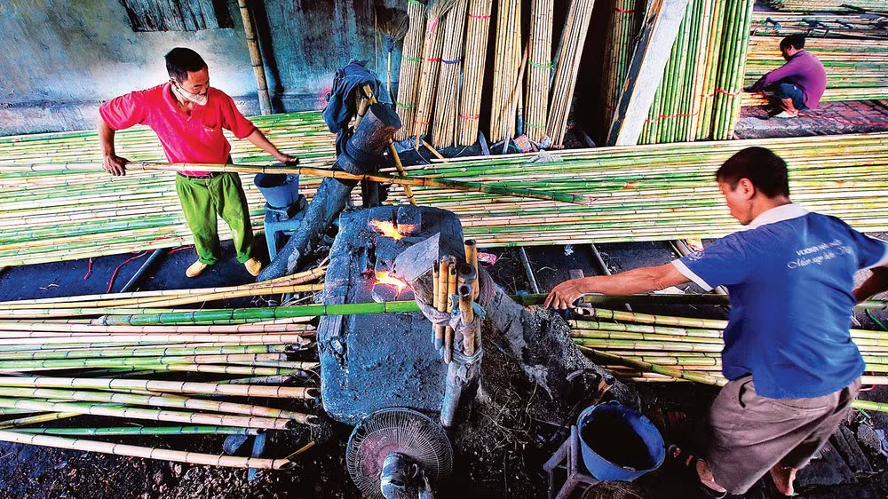 Xử lý tre bằng lò hơi